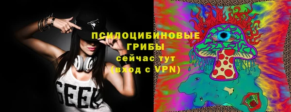 молекула духа Покачи