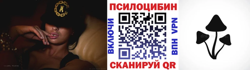 Псилоцибиновые грибы Magic Shrooms закладки кракен ссылки Сусуман
